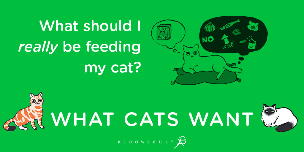 What Cats Want