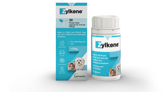 Zylkene Capsules for Kittens