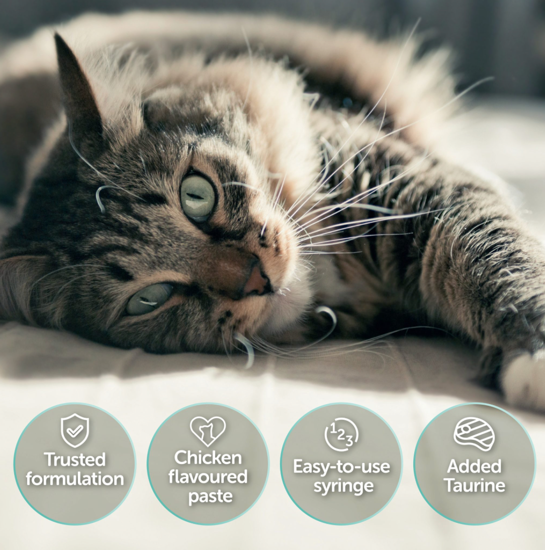 Protexin Pro-Kolin Advanced Paste For Cats