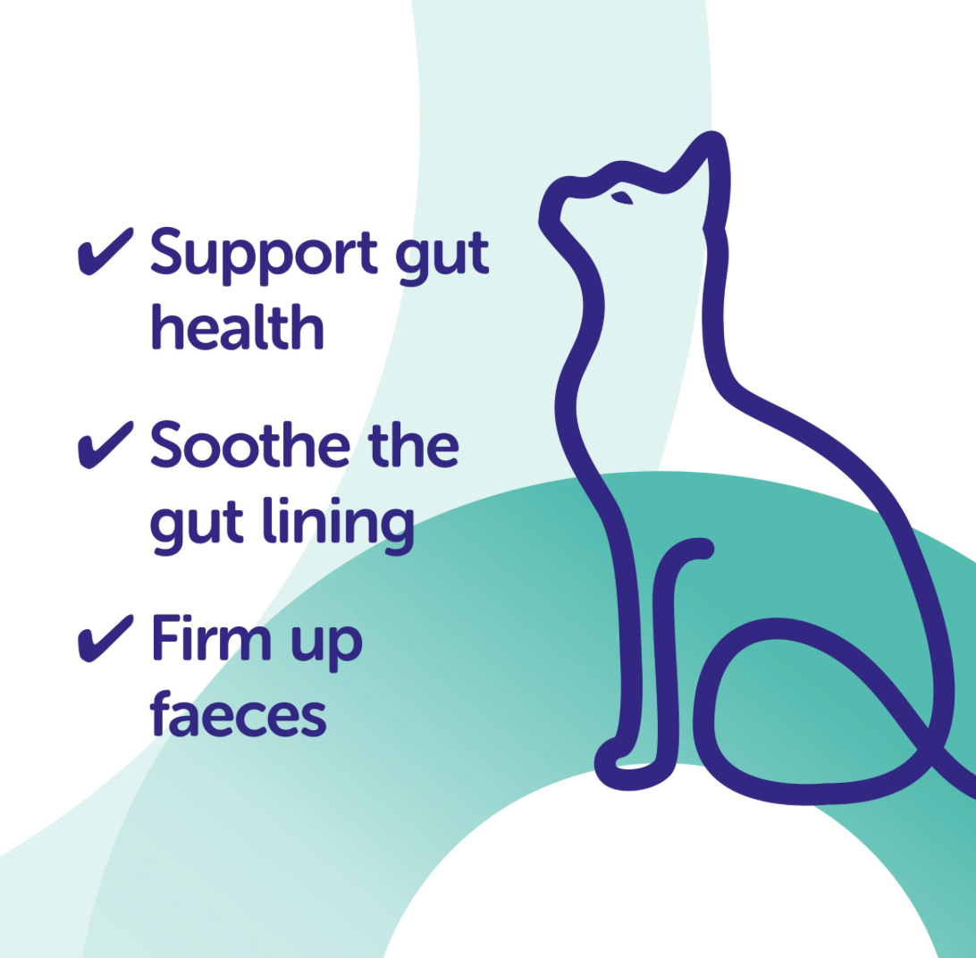 Protexin Pro-Kolin Advanced Paste For Cats